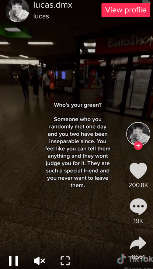 Green Person on TikTok