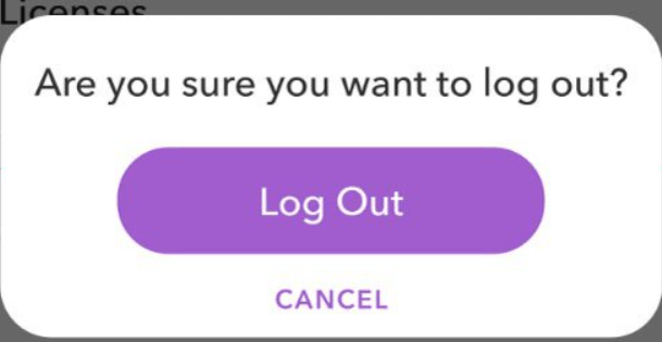 Log Out Snapchat