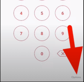 Tap on 'Options,'