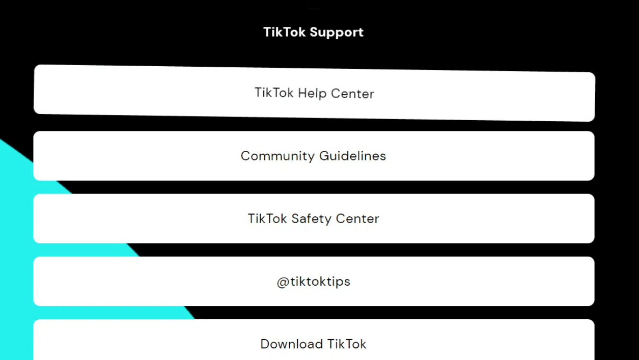 TikTok Support