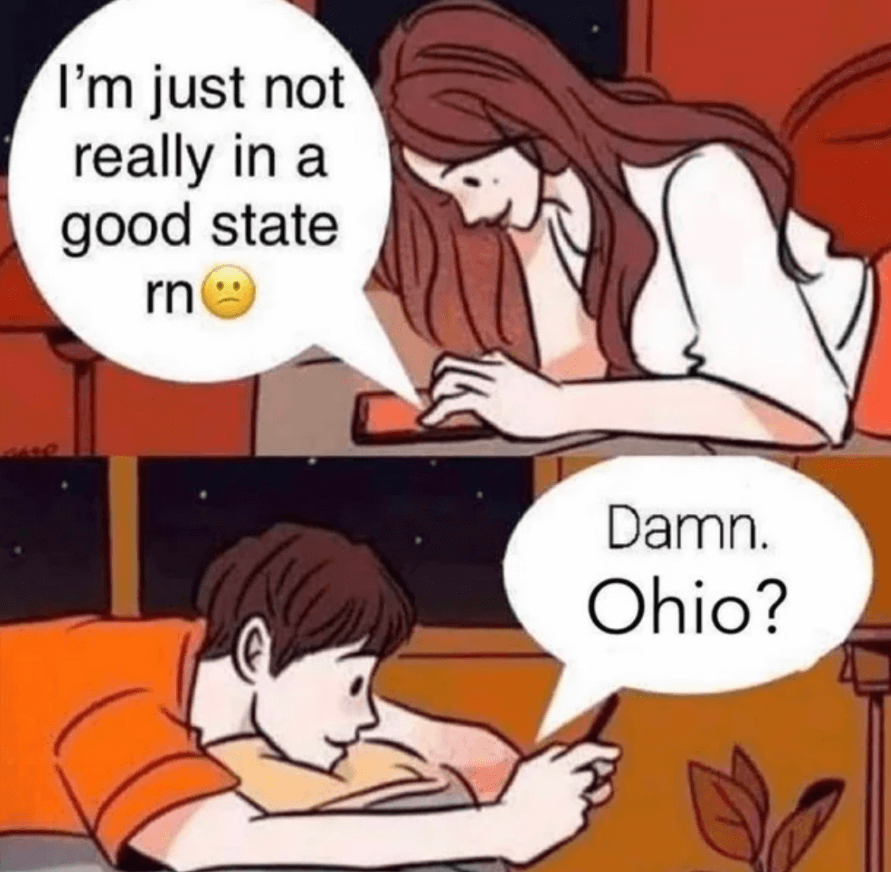 ohio meme 1 new