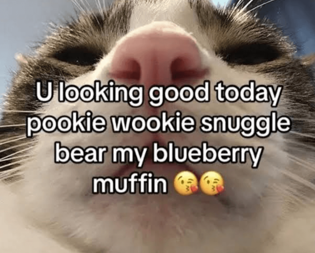 pookie meme 