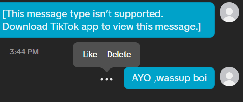 Deleting a message on TikTok