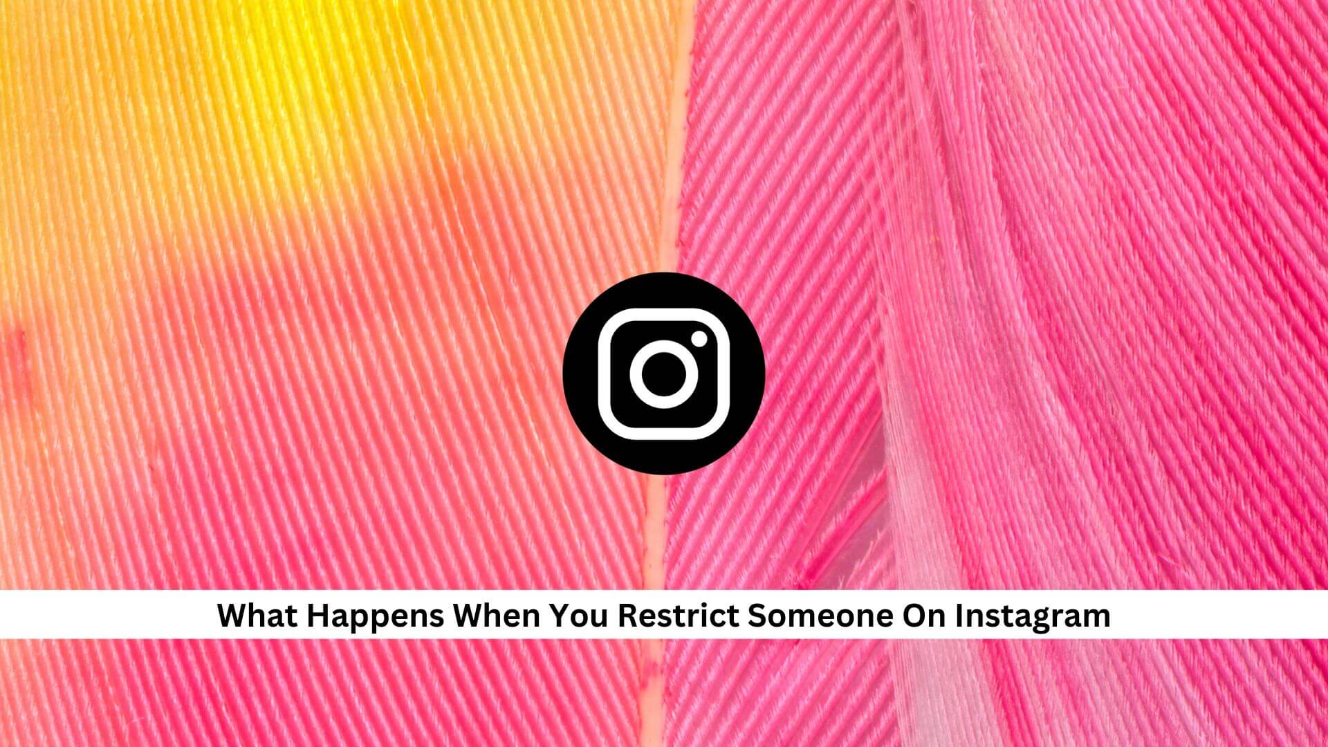 What-Happens-When-You-Restrict-Someone-On-Instagram