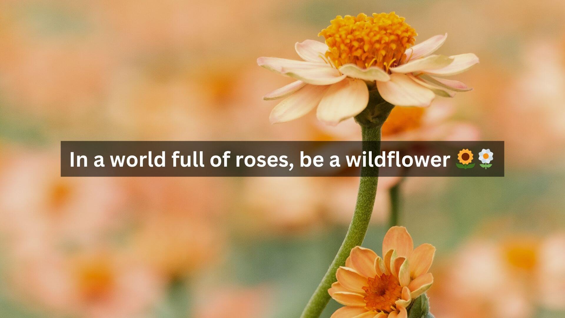Captions for the Flower Bouquet Photo